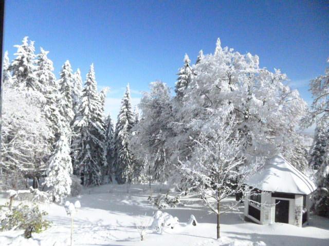 Pension Haus Am Waldesrand Oberhof  Eksteriør bilde